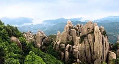 日久情生老白茶——茶族里的自然主义者 