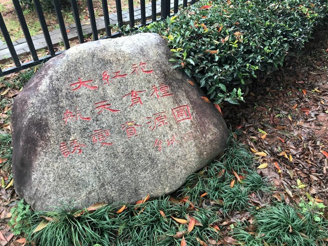  武夷岩茶经过太空诱变之后与普通种植的茶叶有什么区别