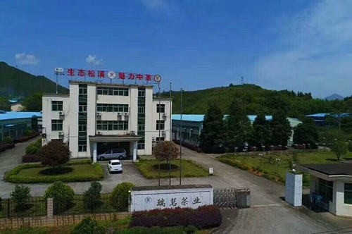 “以史实说话，话白茶正史，致敬茶界前辈，献礼70周年”--闽北白茶