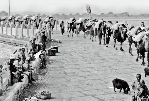 因茶兴起，逆时而衰--陕西商帮的故事(上)