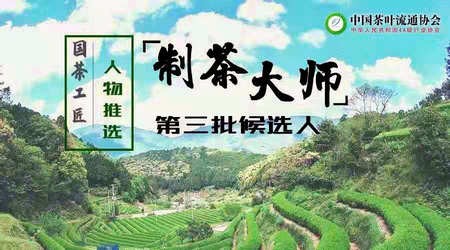 【国茶工匠﹒人物推选】--制茶大师第三批候选人介绍乌龙茶茶类
