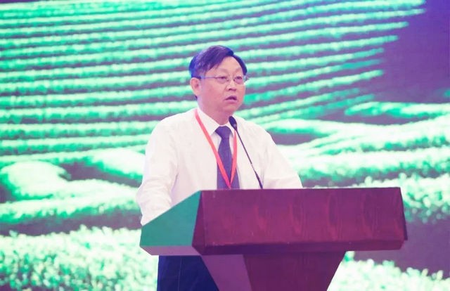 茶叶，最初是用来治病的