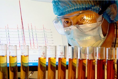 《Nature》子刊发布中国科学家普洱茶研究成果 揭示其降脂机制