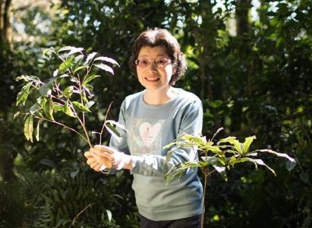 茶心融合两岸（人物志）--台湾制茶师左如玉
