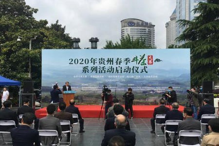 2020年贵州春季斗茶大赛启动 百余茶样角逐春季“茶王”