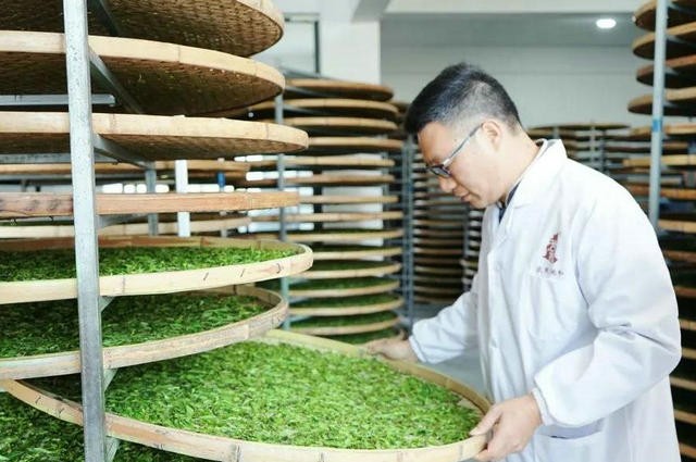 建阳：茶 | 人在草木间 心至天地和