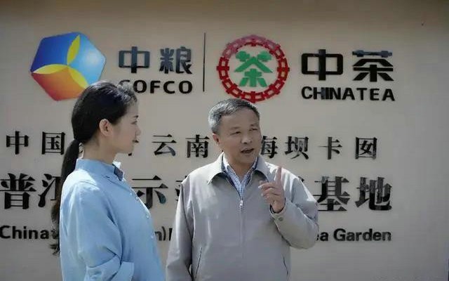 每年卖茶十多亿 中国茶叶“国家队”招股书透露出的重要信息