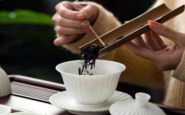 高考完了，要开始选志愿了，学茶学吗？