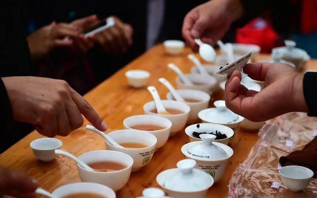 武夷岩茶，海茶会喊你送样了！附最全说明及攻略！