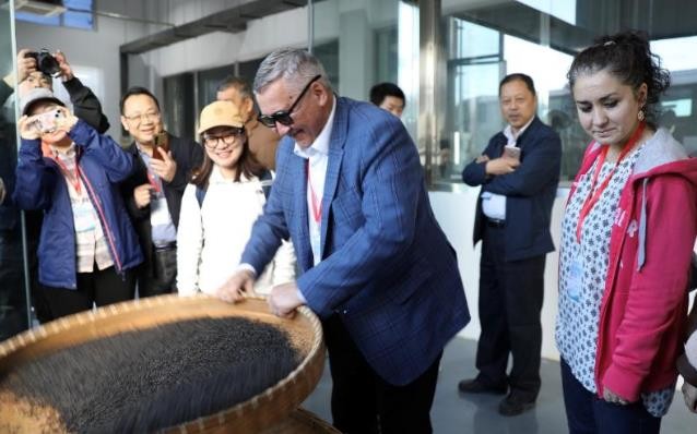 万里茶道再出发 祁红故里焕新颜