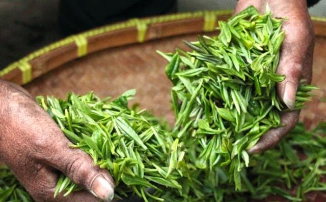 福建安溪一茶行销售假冒金骏眉红茶，检出禁用柠檬黄