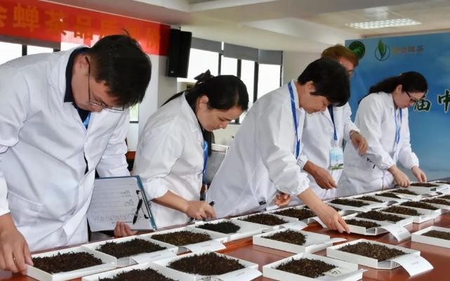 “茶王”花落紫金