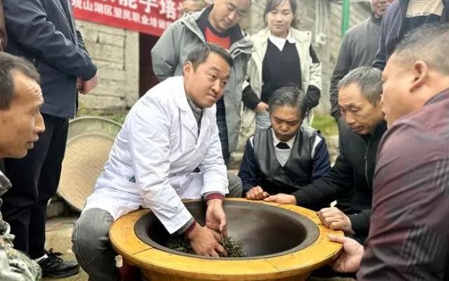贞丰县：制茶培训助力茶产业发展