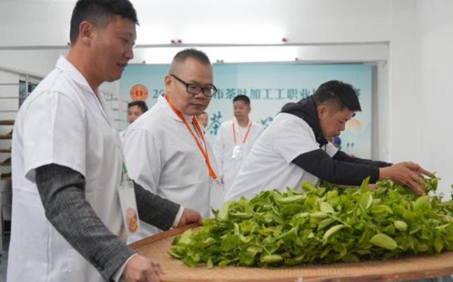 这场比赛，茶叶加工高手云集，决战“单丛之巅”