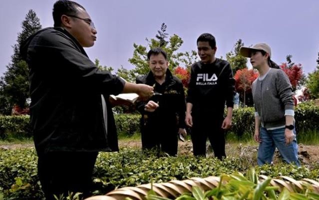 福清：科特派“看天把脉” 茶产业“点绿成金”