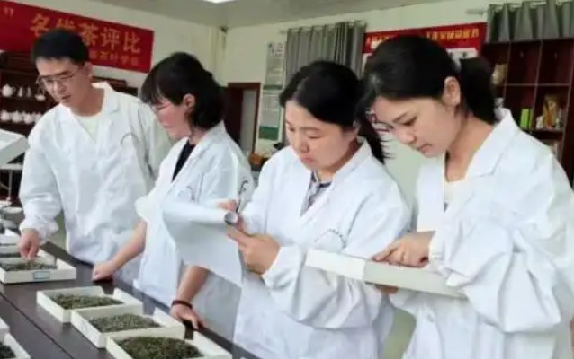 百茶争霸，黎平白茶勇夺第一！