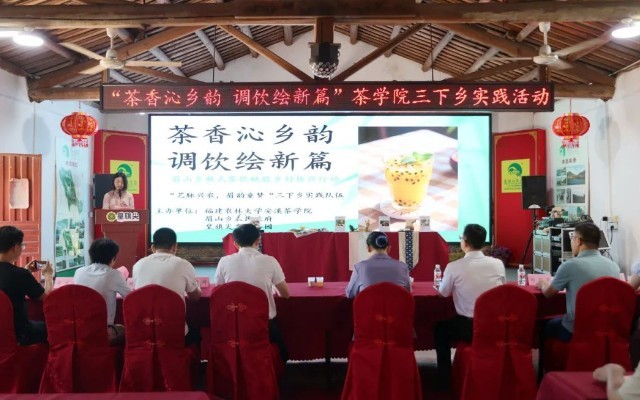 茶香新韵映青春！福建农大学子为南安眉山茶产业注入青春密码