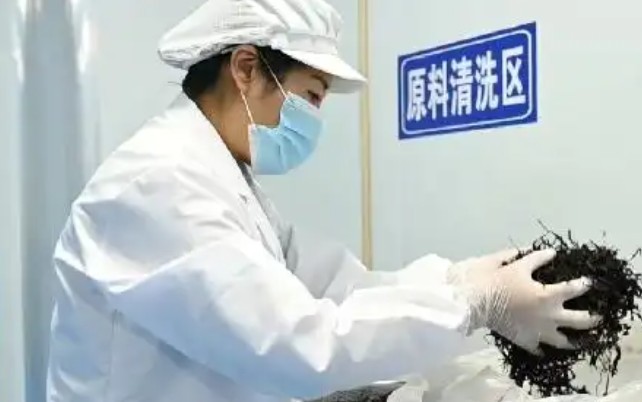 河红茶遇上金银花 开启茶饮新潮流