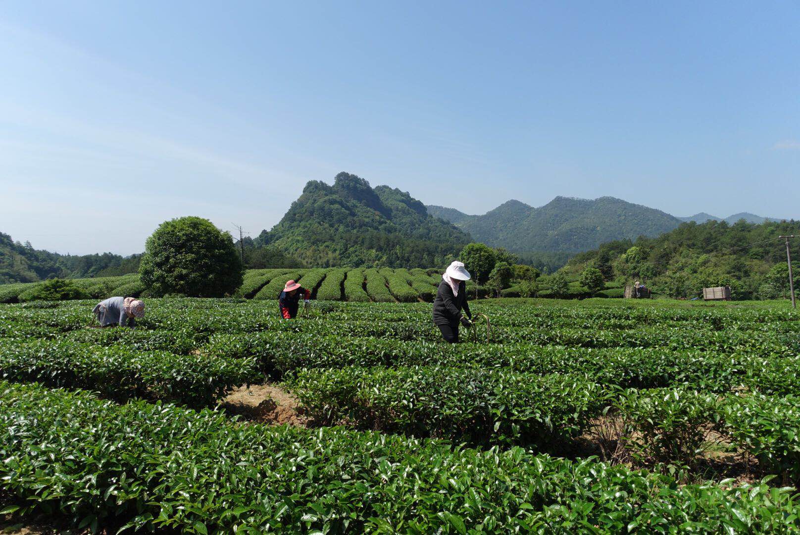 2211c9397591a99504b350fbd55f1322.jpg 2211c9397591a99504b350fbd55f1322.jpg