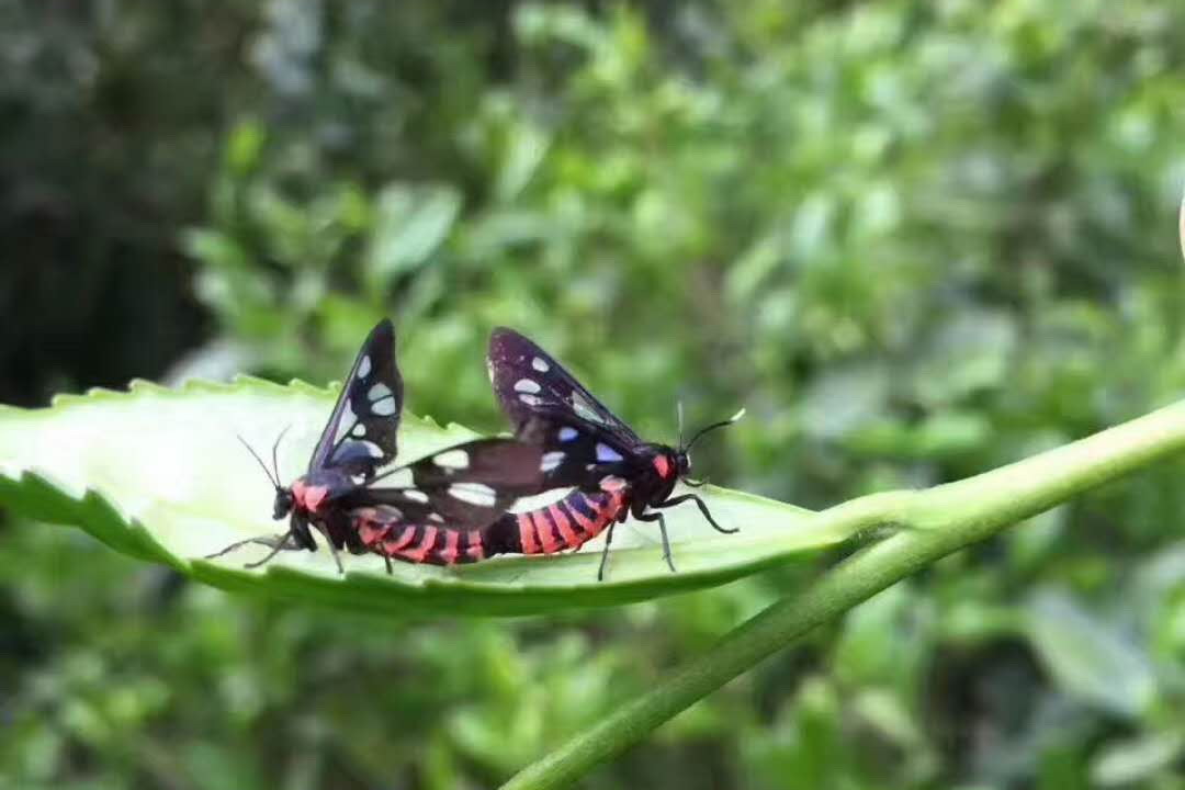 7ff34cad413ececa6d59f93c15a2bd53.jpg 7ff34cad413ececa6d59f93c15a2bd53.jpg