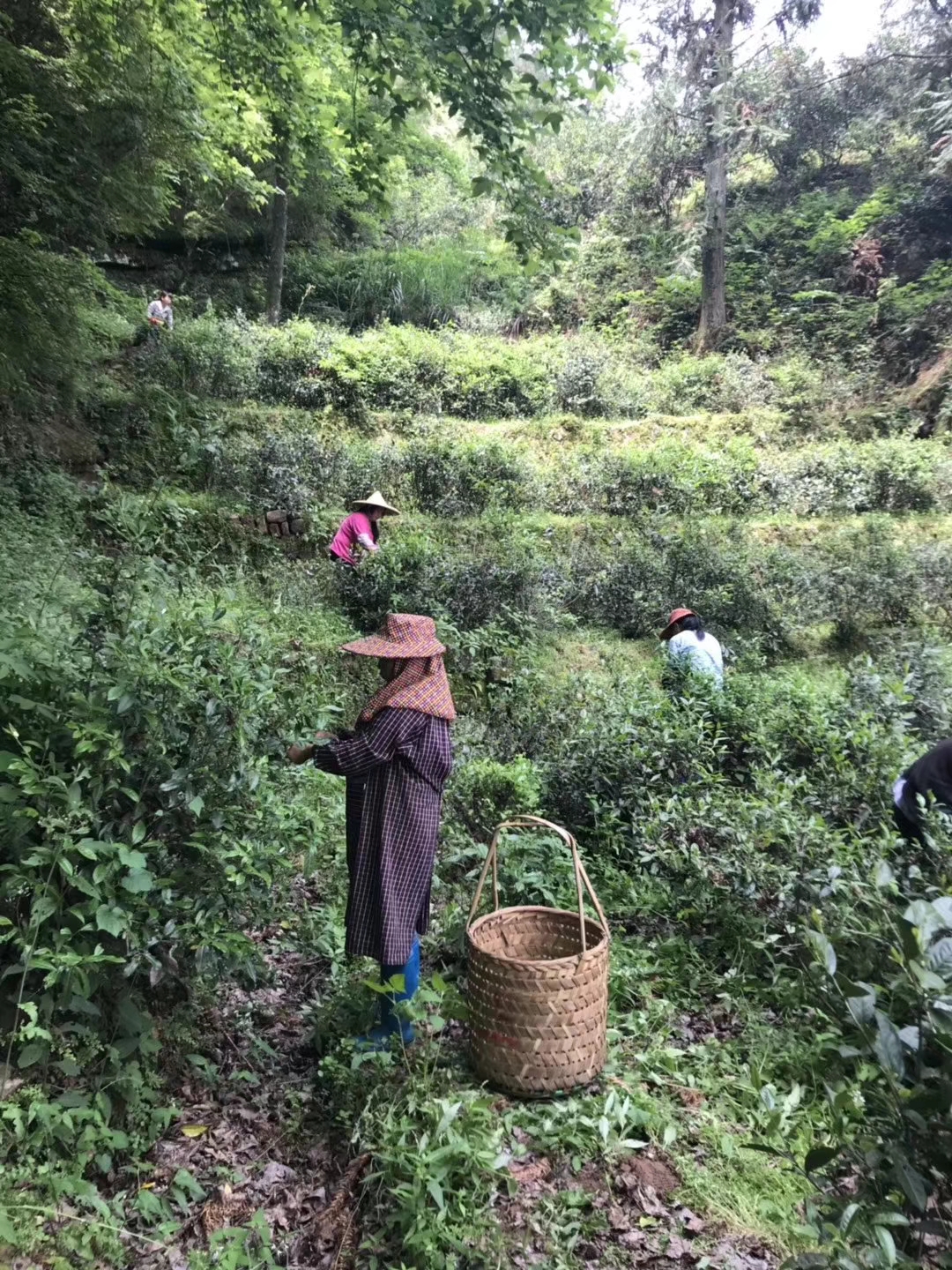 f33752d3f7dc3333b78a89ba06285273.jpg f33752d3f7dc3333b78a89ba06285273.jpg