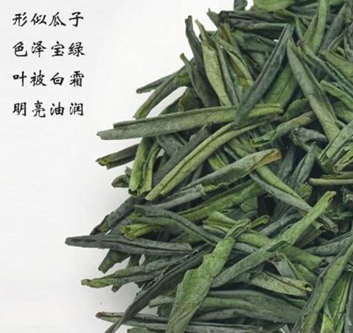 5c6793245787ec2f65f23968d3b30de0.jpg 5c6793245787ec2f65f23968d3b30de0.jpg