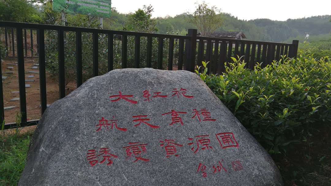 8d30a406f0656e4a803560950bb2b0bb.jpg 8d30a406f0656e4a803560950bb2b0bb.jpg