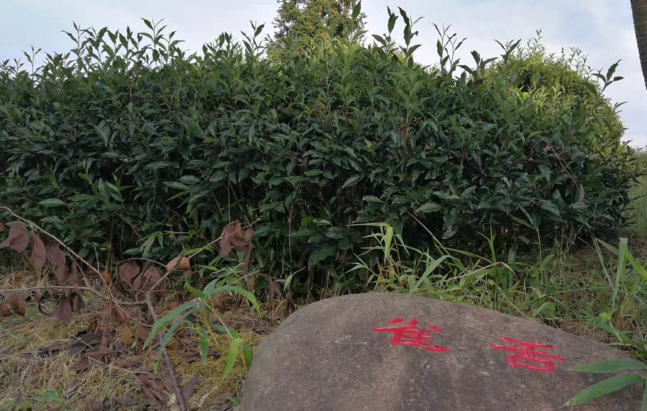 d74cbcbc7972e9bbce9ef9fda6d193ac.jpg d74cbcbc7972e9bbce9ef9fda6d193ac.jpg