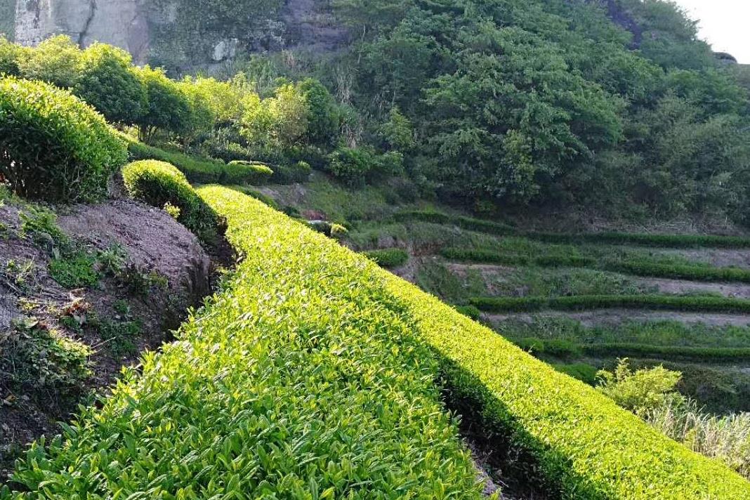 deb44c54bed8d6fabf2c67940027614c.jpg deb44c54bed8d6fabf2c67940027614c.jpg