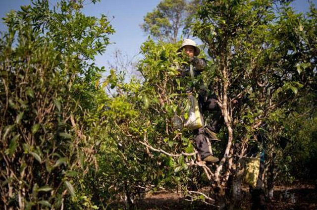 86e5e6f7a51574a78e52bd6d15a12033.jpg 86e5e6f7a51574a78e52bd6d15a12033.jpg