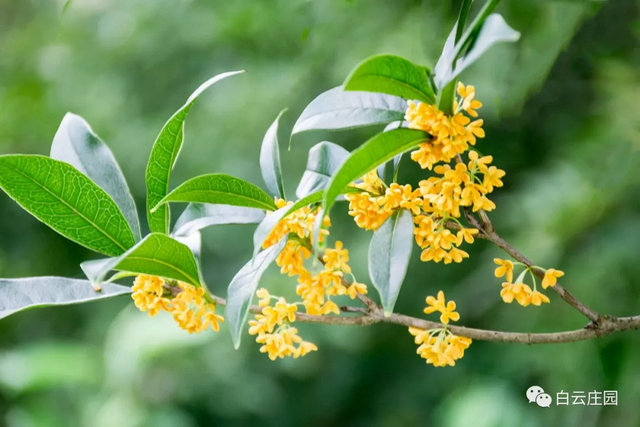 3dde97ecbc854550109eb02a7b867c29.jpg 3dde97ecbc854550109eb02a7b867c29.jpg