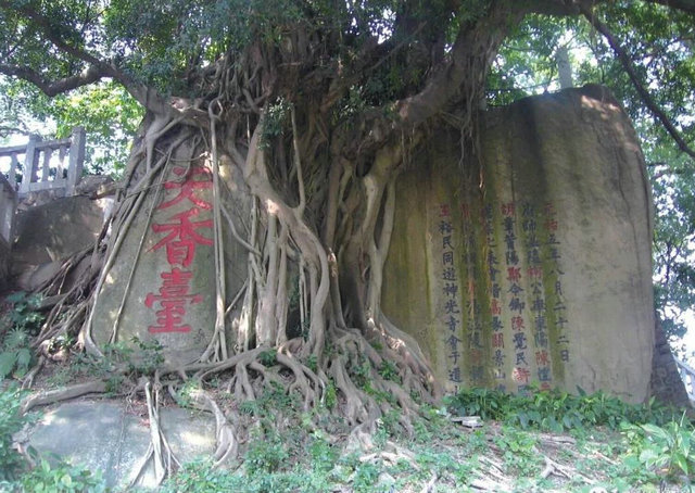 359e9575a59a108a7319007acf3be526.jpg 359e9575a59a108a7319007acf3be526.jpg