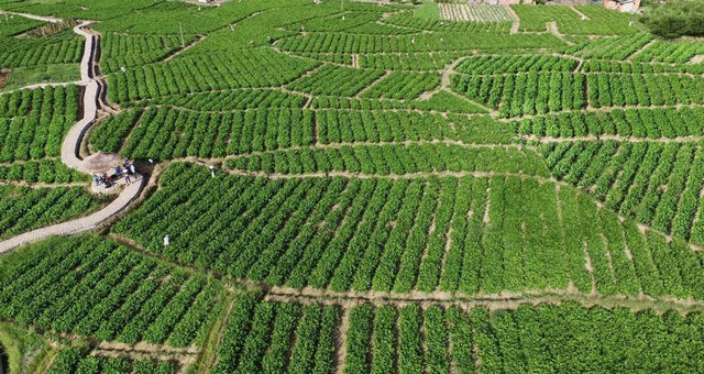 4c8e06ee2a3091b56813fd733a8ec273.jpg 4c8e06ee2a3091b56813fd733a8ec273.jpg