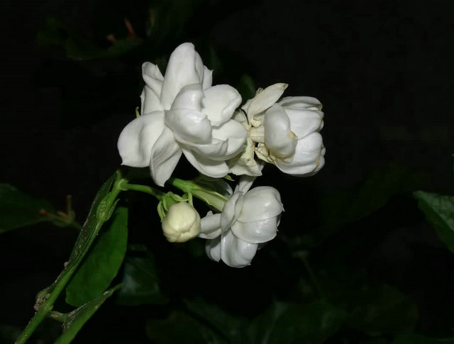 debe531476ba383ed3cf0f78ea439d15.jpg debe531476ba383ed3cf0f78ea439d15.jpg