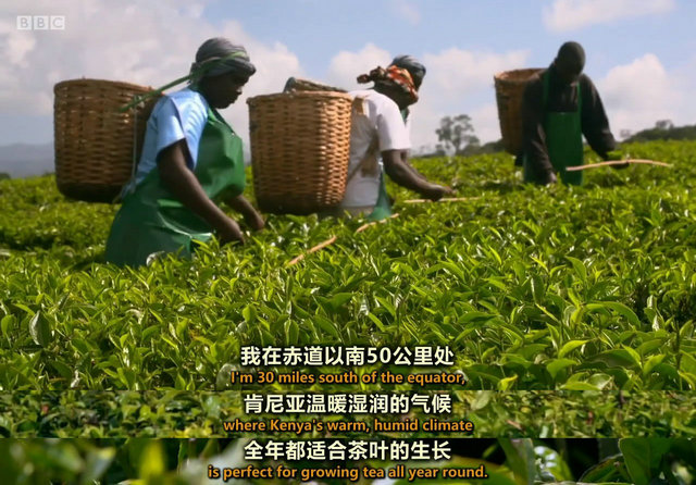 43561f0c5261a2ee9985fd7f23a46fbc.jpg 43561f0c5261a2ee9985fd7f23a46fbc.jpg