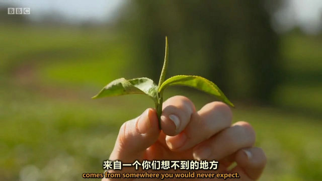 4d898aaf335e5792f2b5d18c7e946e12.jpg 4d898aaf335e5792f2b5d18c7e946e12.jpg