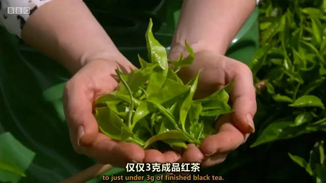 5fc12d36ab3e0b7d2fb58691a135c6ef.jpg 5fc12d36ab3e0b7d2fb58691a135c6ef.jpg