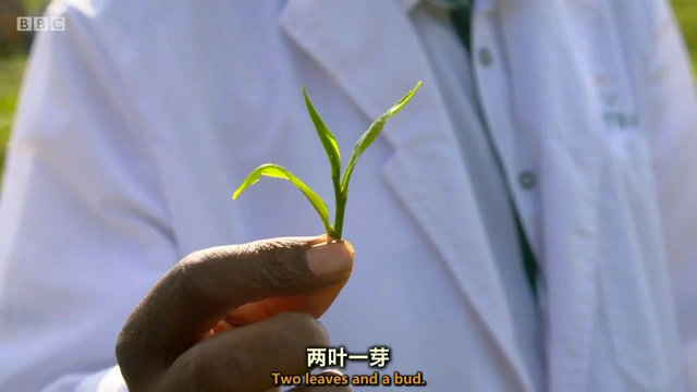 6503bccc7c05e6d8e62169a892b91949.jpg 6503bccc7c05e6d8e62169a892b91949.jpg