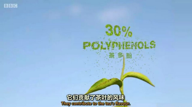 c805e6c52dc0063a3cfbcfaae6239d85.jpg c805e6c52dc0063a3cfbcfaae6239d85.jpg