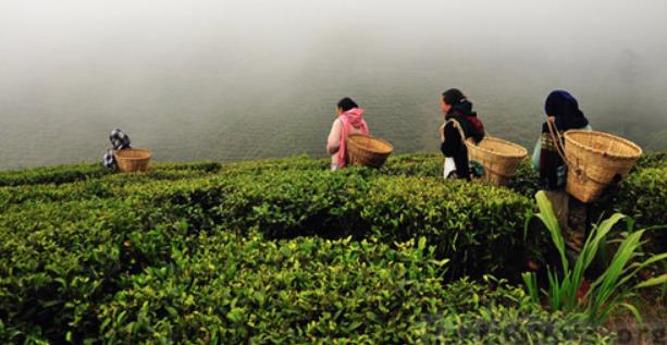 4c29fe843a83186f116ecba1b26661a4.jpg 4c29fe843a83186f116ecba1b26661a4.jpg