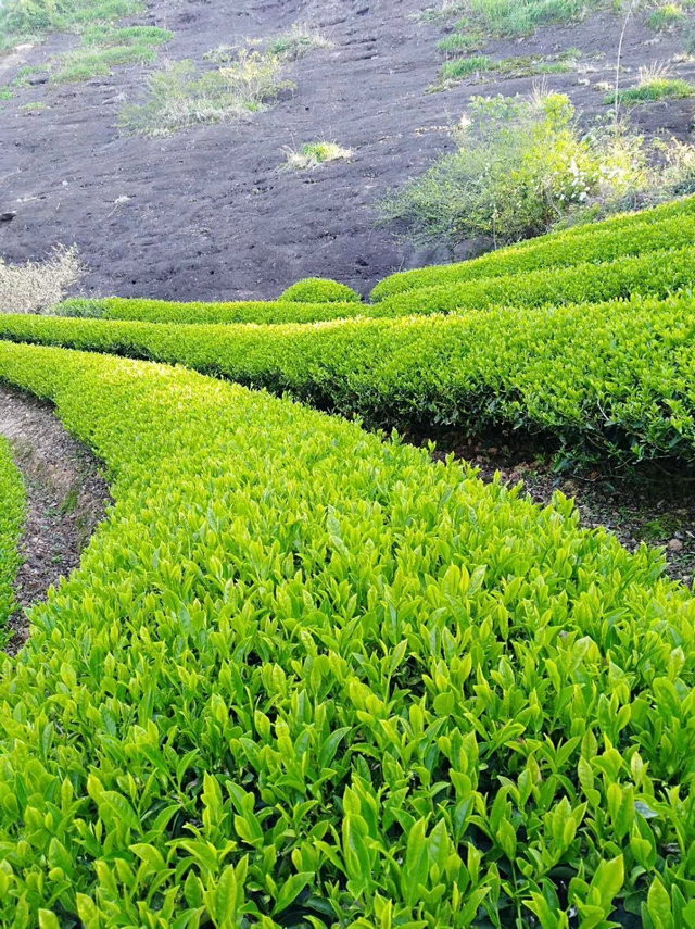 3dc06abd8ef8b4bd1aae153cf098147c.jpg 3dc06abd8ef8b4bd1aae153cf098147c.jpg