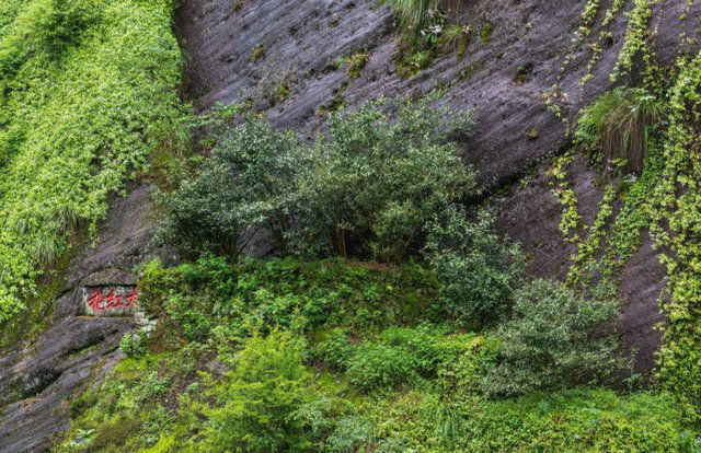 7a61e104e4c8a7b7603a3e139bcce68d.jpg 7a61e104e4c8a7b7603a3e139bcce68d.jpg