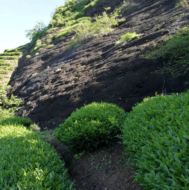 b7fcb3ae1c8a8a39984610c8bc63d3ed.jpg b7fcb3ae1c8a8a39984610c8bc63d3ed.jpg