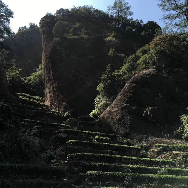 c8640a5fff10e752cdbe7c47a67c533a.jpg c8640a5fff10e752cdbe7c47a67c533a.jpg