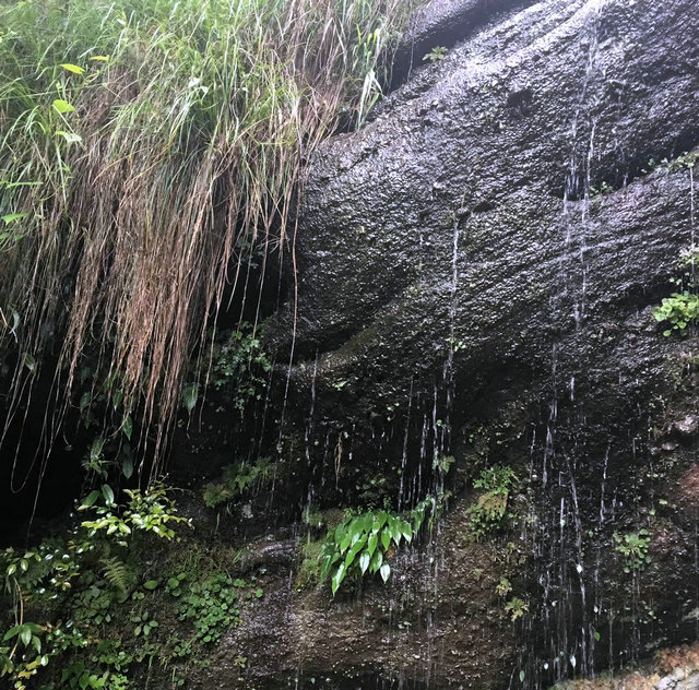 f1282bd7bec028ec95eee9ac47bb1fbd.jpg f1282bd7bec028ec95eee9ac47bb1fbd.jpg