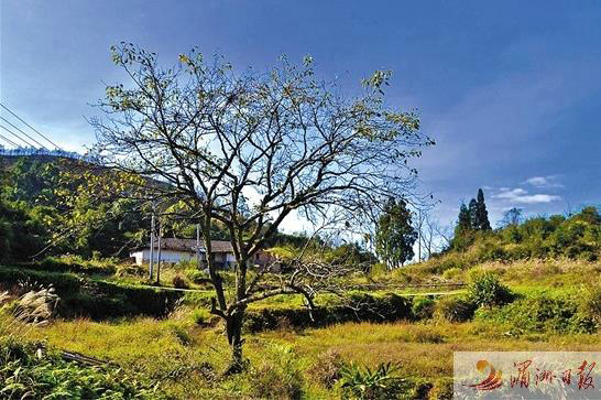 018645db1ca24392fb1a3d7513c7752b.jpg 018645db1ca24392fb1a3d7513c7752b.jpg