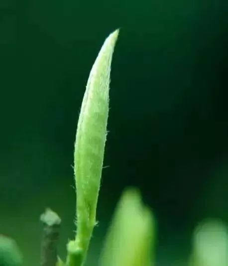 a2591740846636f29365c5131f0fef0e.jpg a2591740846636f29365c5131f0fef0e.jpg