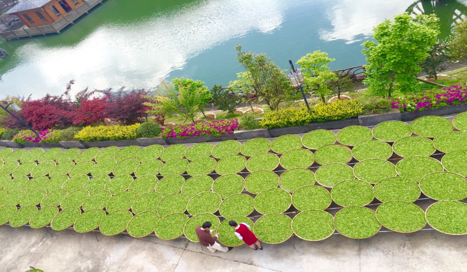 46615a4c2d0c573cdaf2b5ab85d80b6f.jpg 46615a4c2d0c573cdaf2b5ab85d80b6f.jpg