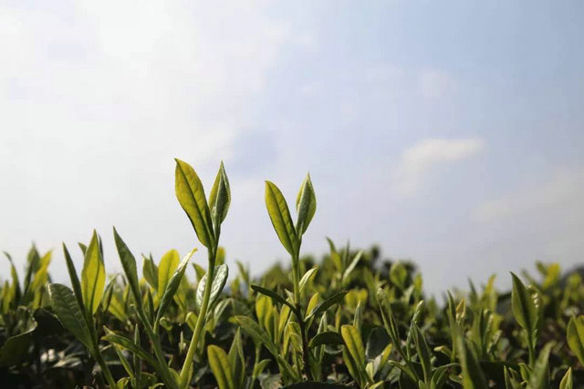 914aa8ae491f3b5cd435d639c6fdc4ea.jpg 914aa8ae491f3b5cd435d639c6fdc4ea.jpg