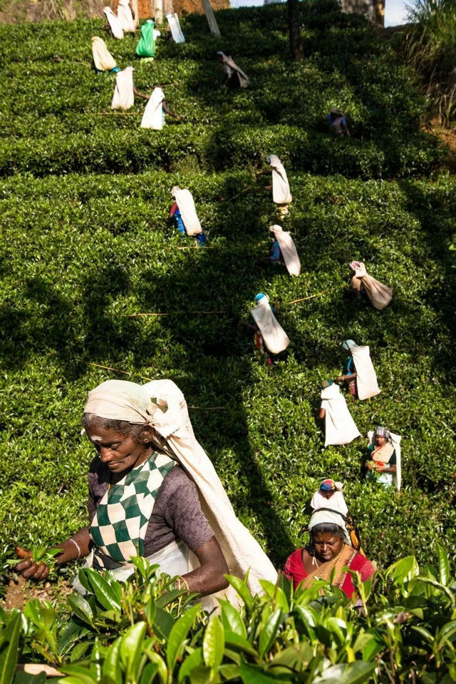 0db85a268d44bbb054b9c872245390d6.jpg 0db85a268d44bbb054b9c872245390d6.jpg